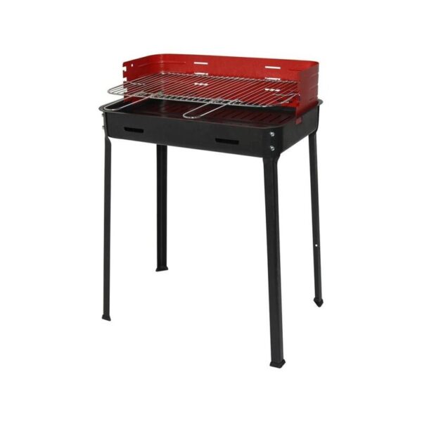 Barbecue Picnic Amigo