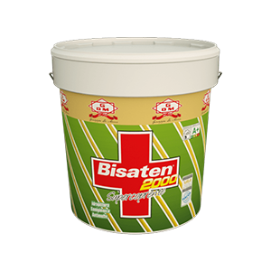Bisaten 2000